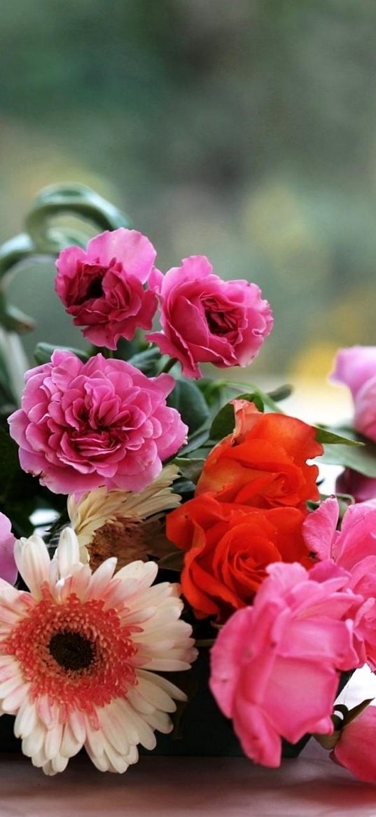 gerbera, roses, flowers, tray, tea, cup, table