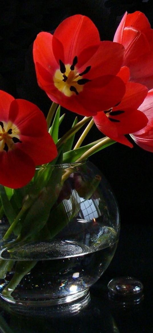 tulips, loose, flowers, vase, candle, fire