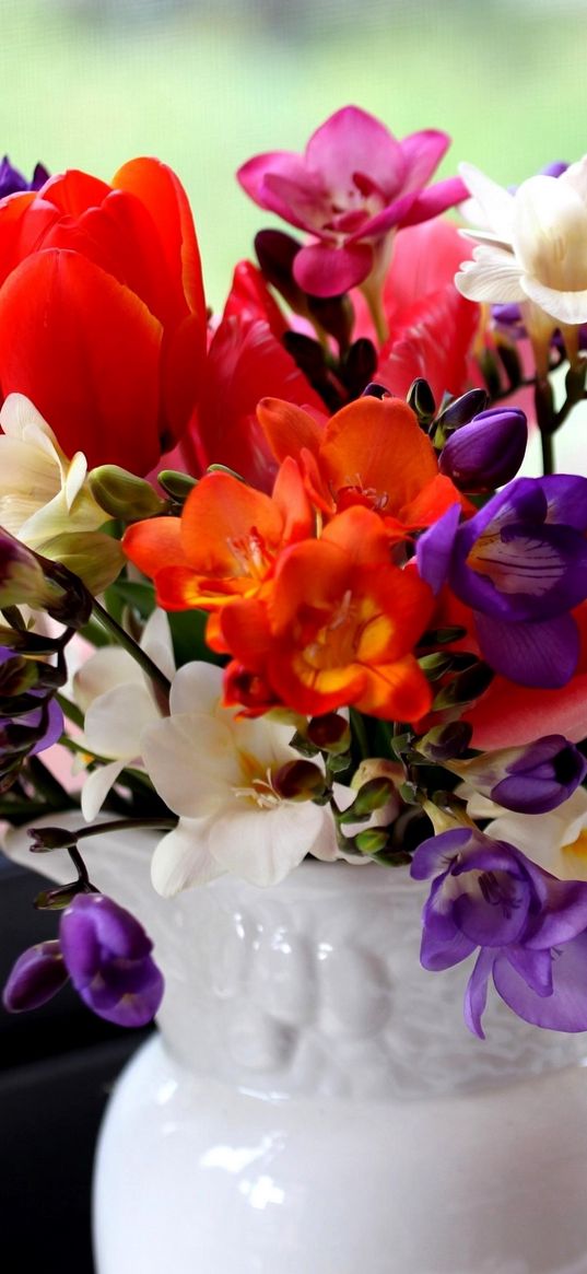 tulips, freesia, flowers, bouquet, pitcher, window