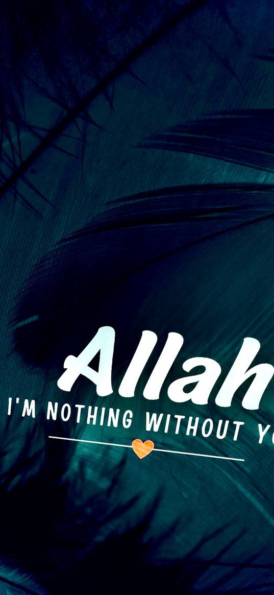 islam, religion, feathers, text, quote, allah i'm nothing without you