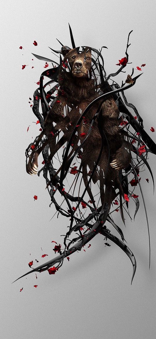 bear, twigs, surrealism, image