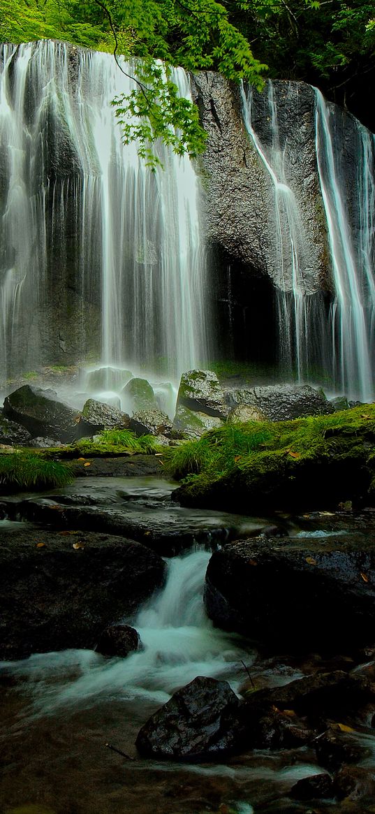 waterfall, stones, moss, branches