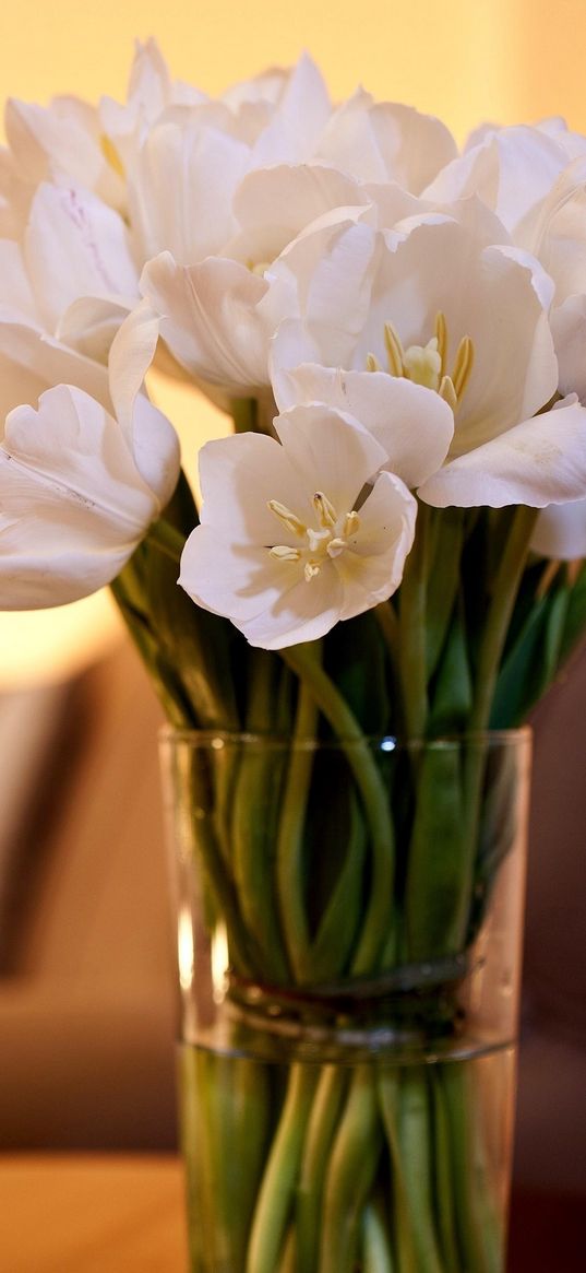 tulips, flowers, bunch, vase, candles, romance