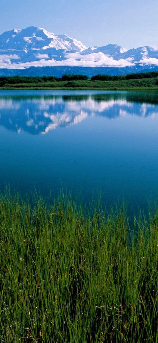 makkinlis lake, mountain, vegetation, alaska