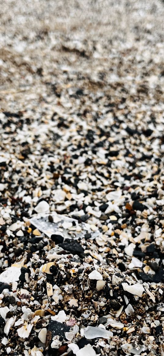 sand, shells, beach