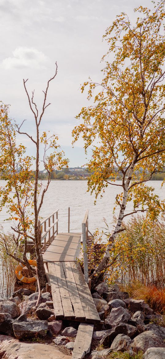 pier, boards, trees, birches, river