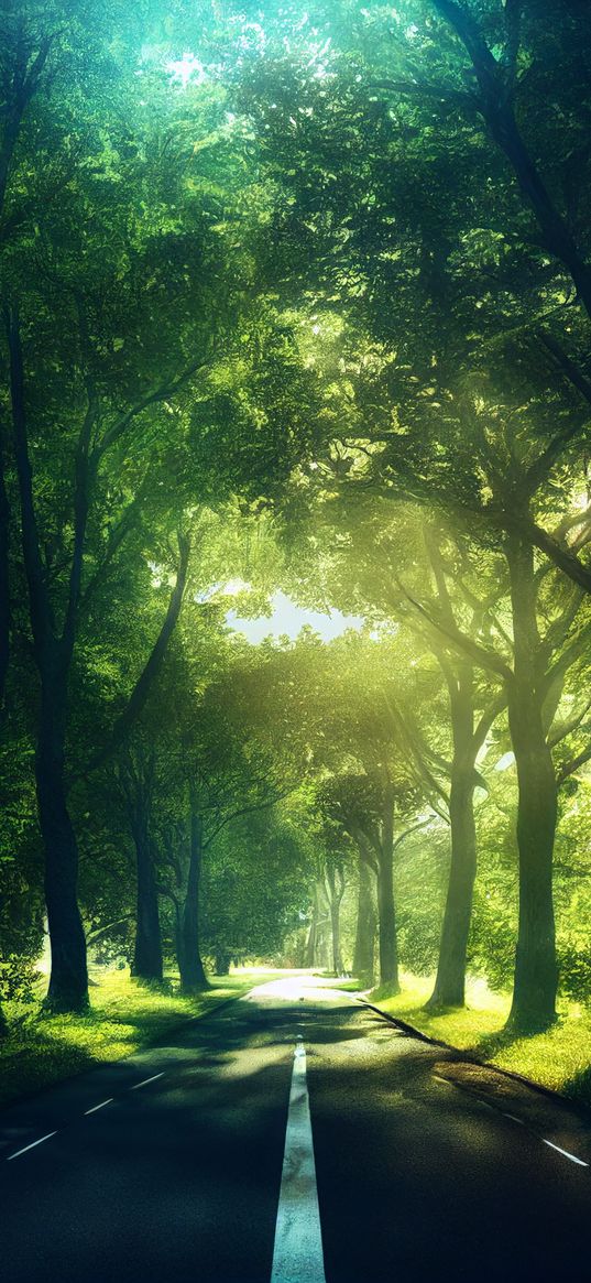 road, tree, ray, green