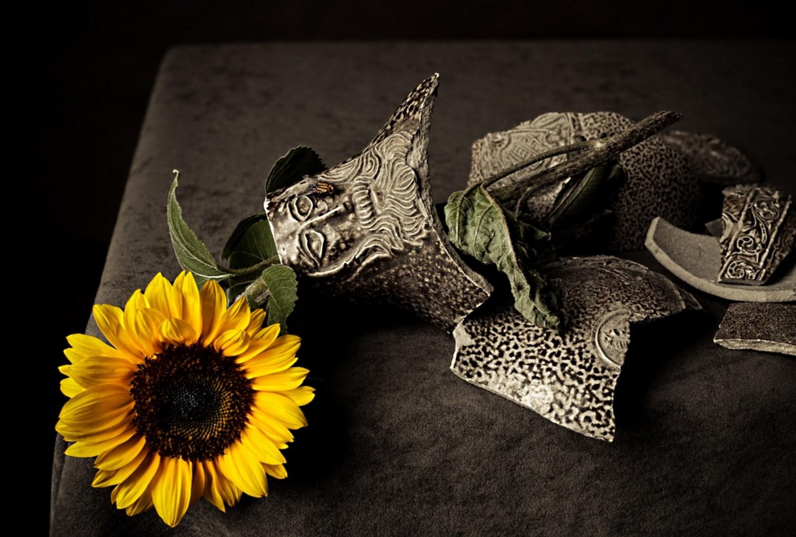 sunflowers, vase, fragments