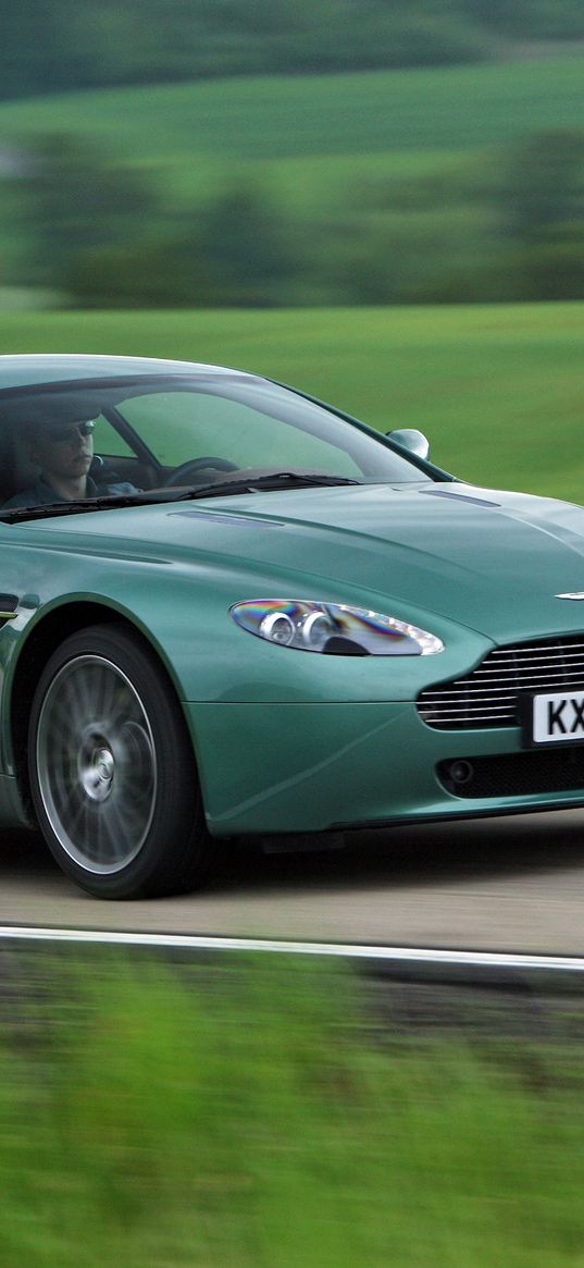 aston martin v8 vantage, 2008, green, side view, speed, nature