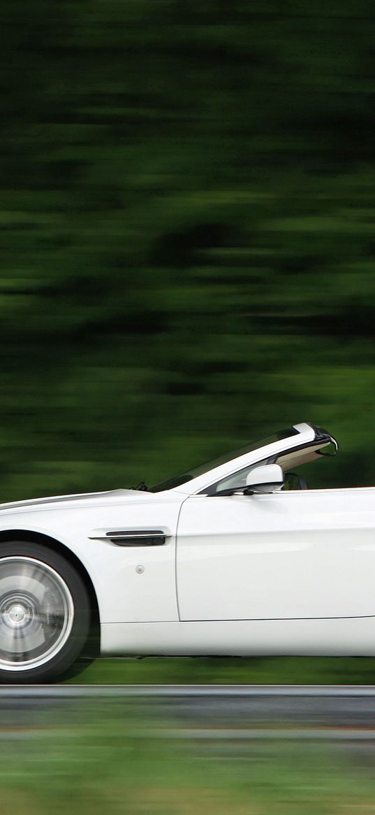 aston martin, v8, vantage, 2008, green, side view, speed, nature