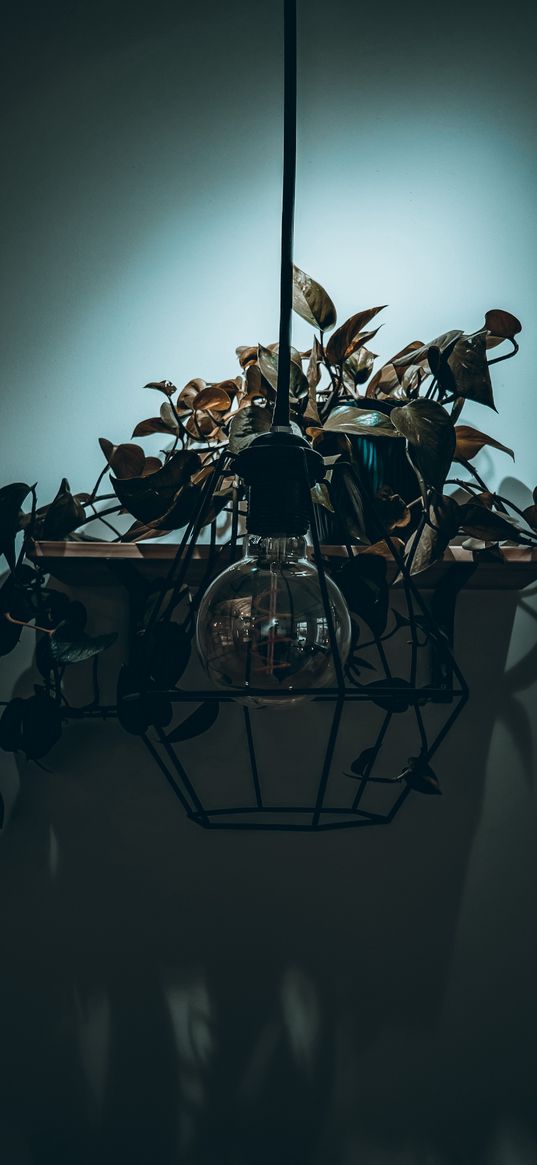 lamp, light bulb, plant, flower, loft, dark