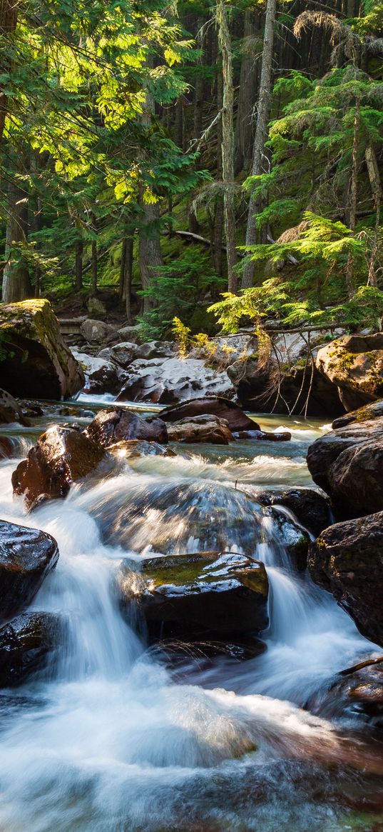 stones, water, stream, trees, nature