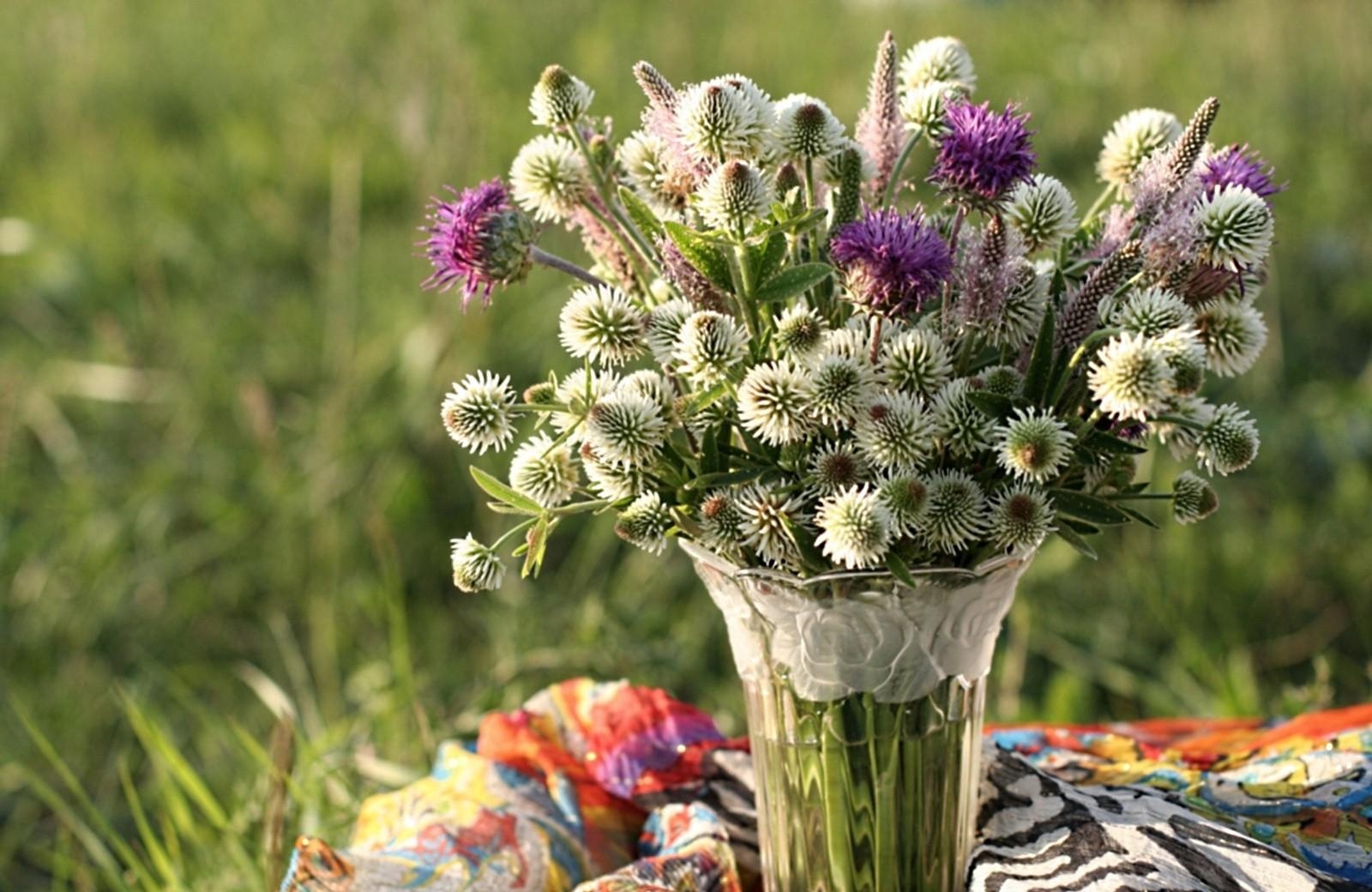 clover, thistle, flowers, field, flower, vase