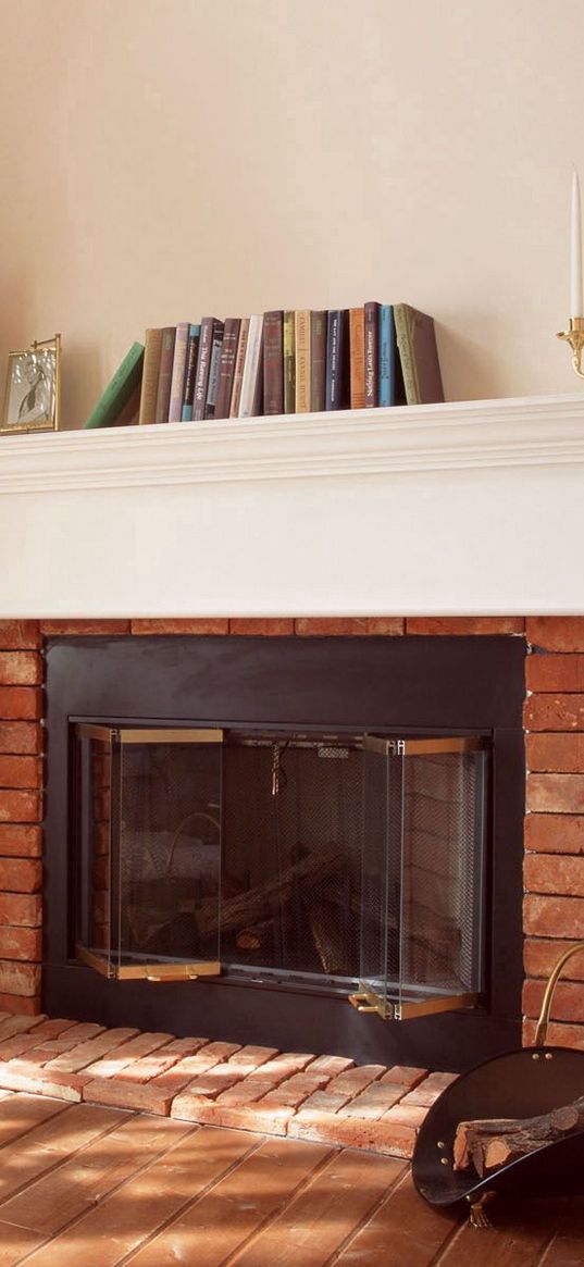 fireplace, flowers, plants, books, comfort