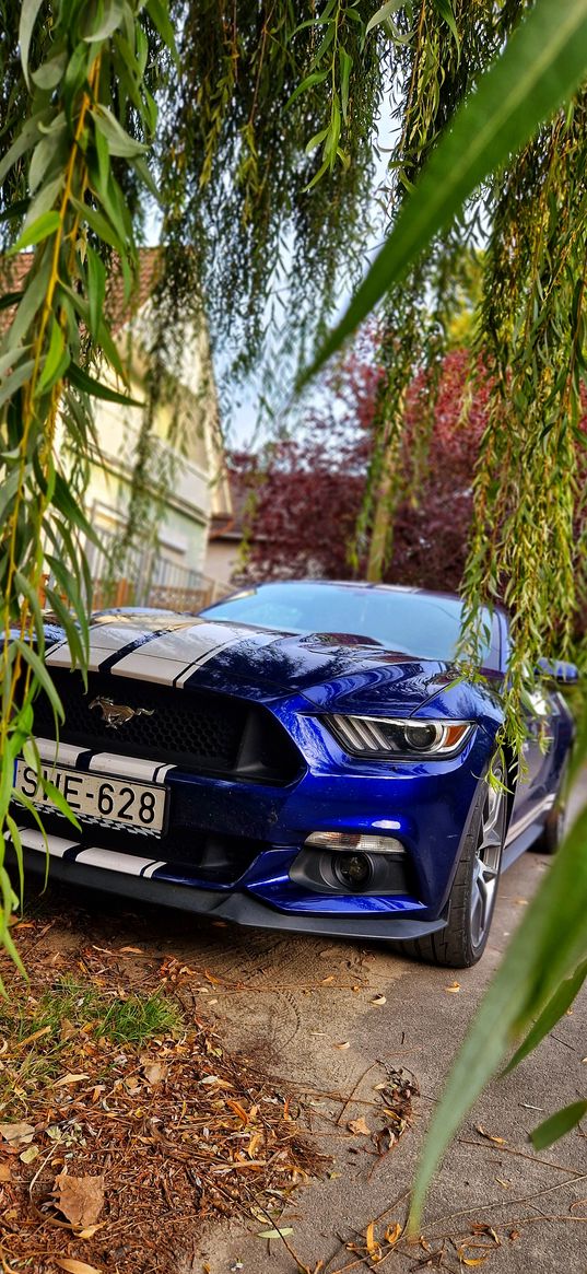 ford mustang, ford, car, blue, tree