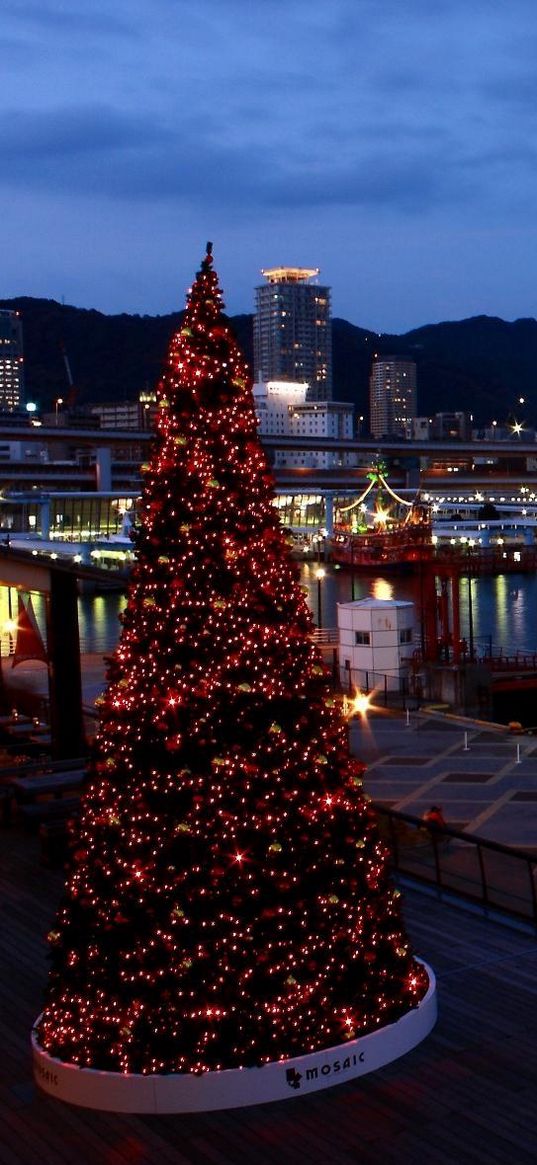 tree, holiday, port, ship, night, lights