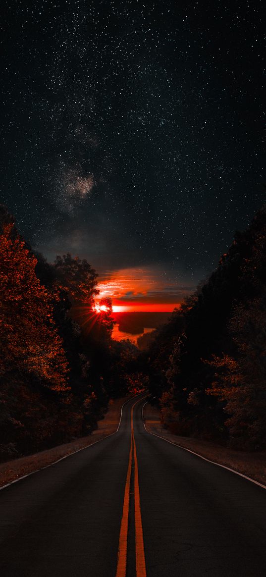 road, trees, stars, night