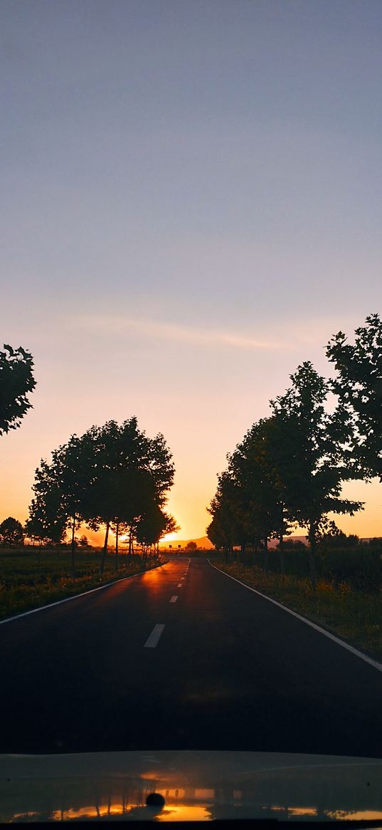 road, sunset, trip