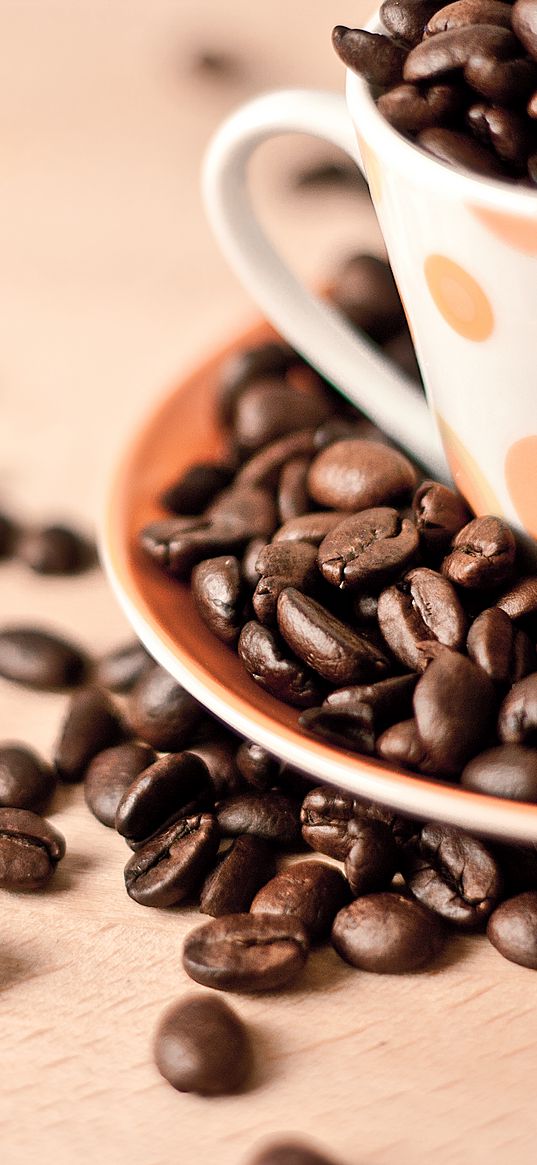 coffee, beans, caffeine, macro, cup