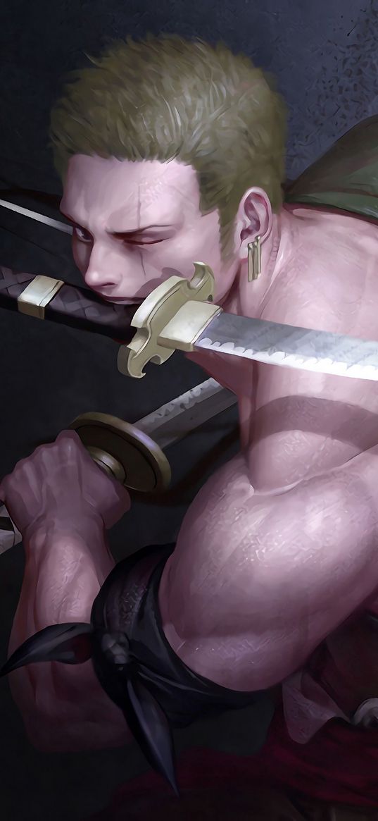 roronoa zoro, one piece, anime, character, warrior, scar, sword, art