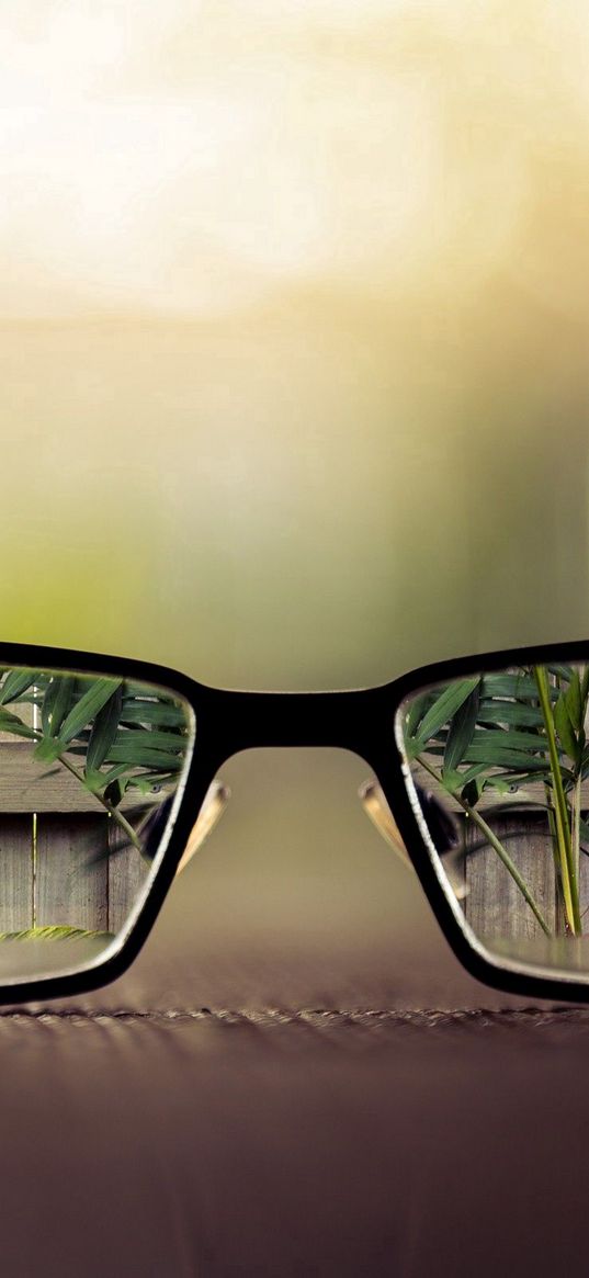 glasses, glass, lenses, frame, reflection