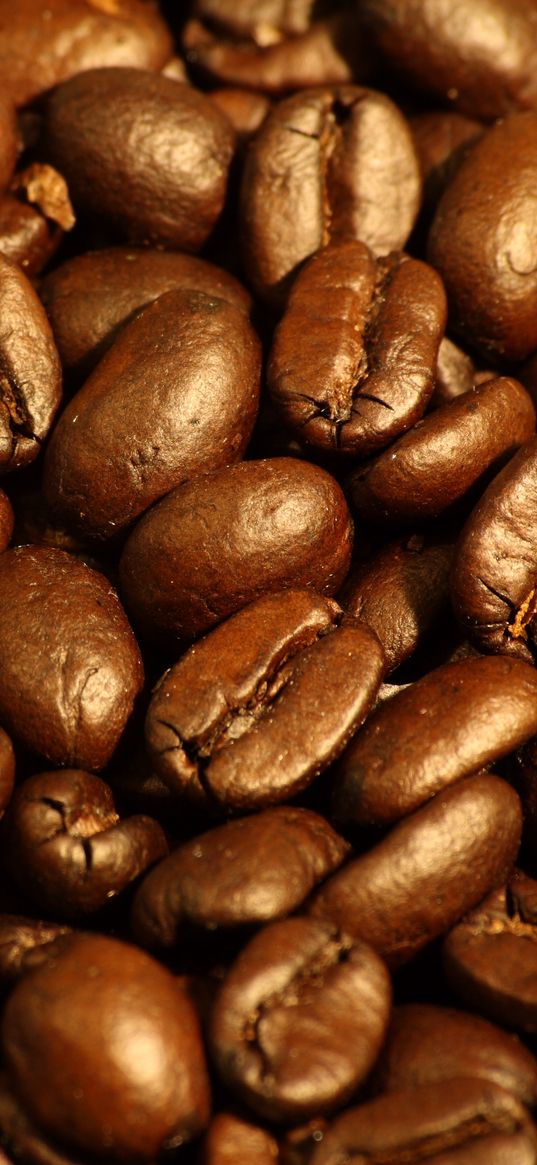 coffee, grains, brown, macro, caffeine