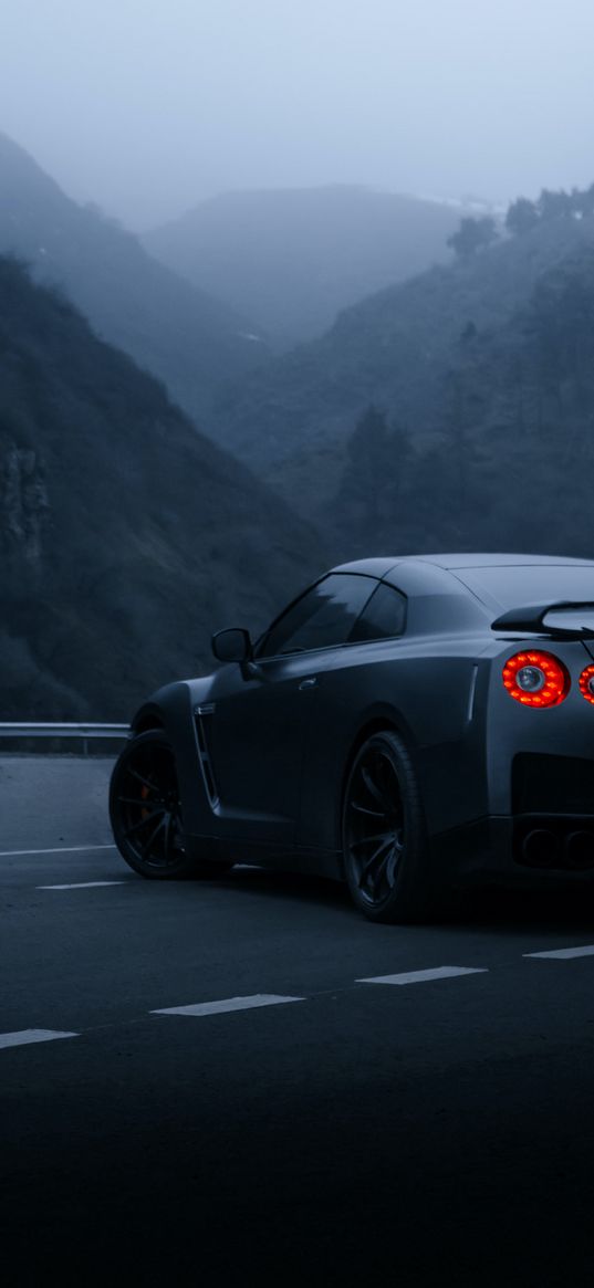 nissan gtr, nissan, sports car, car, gray, road, mountains, fog