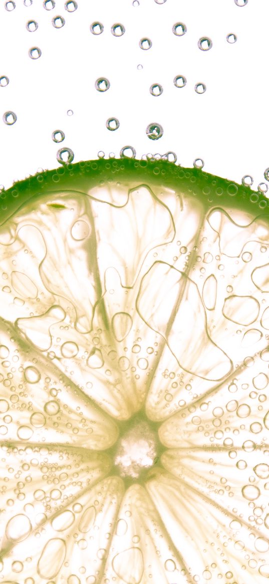 lime, citrus, bubbles, macro