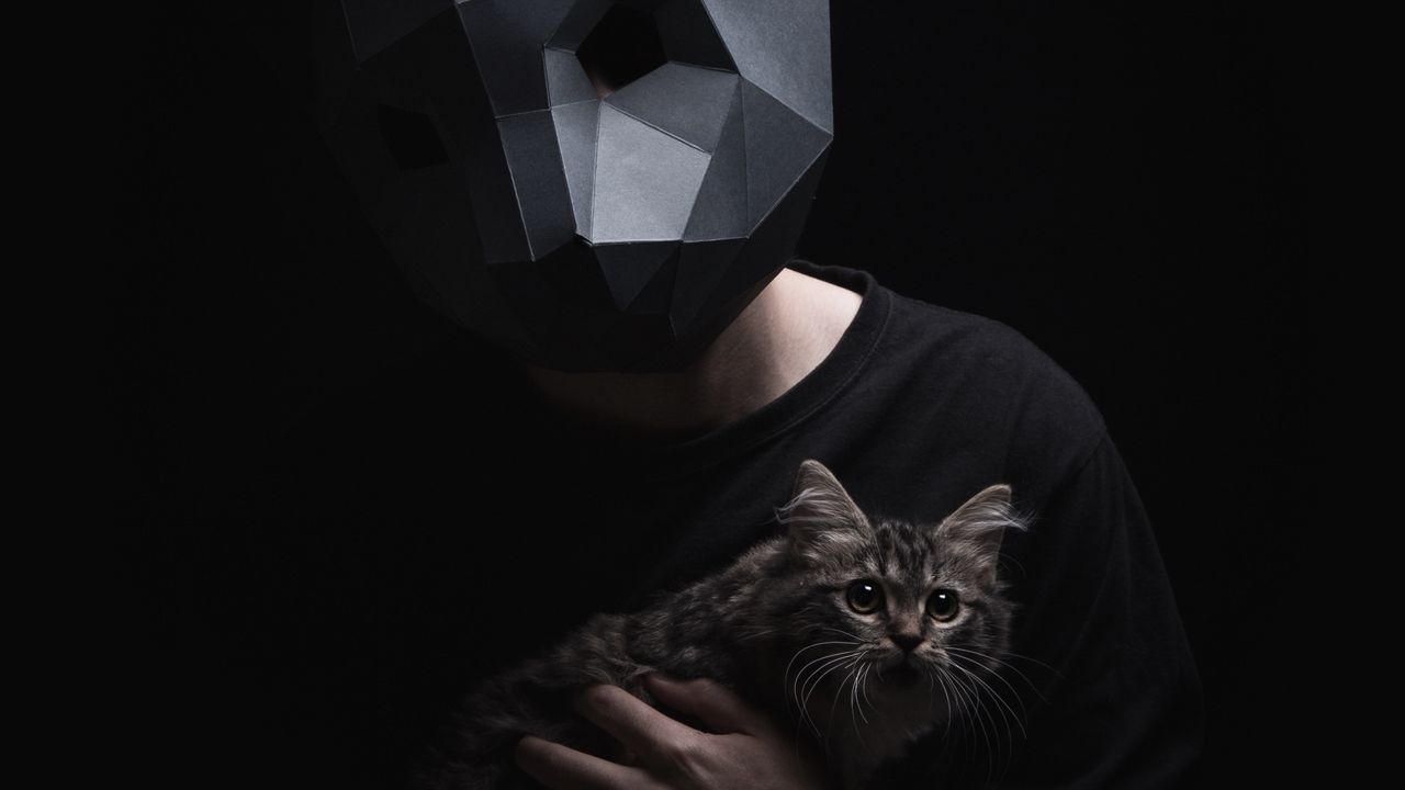 Wallpaper 3d-mask, mask, cat, dark, surround