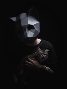 Preview wallpaper 3d-mask, mask, cat, dark, surround