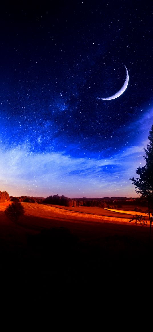 trees, fields, forest, sunset, moon, stars, sky, night, nature