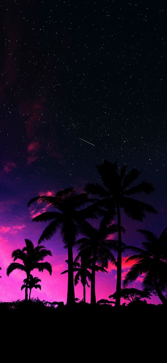 palm trees, jungle, sunset, pink, starry sky, comet, night, nature