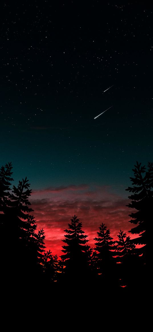 christmas trees, forest, sunset, clouds, stars, comets, sky, night, nature