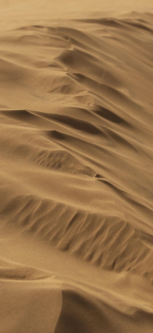 dune, sand, desert, dry