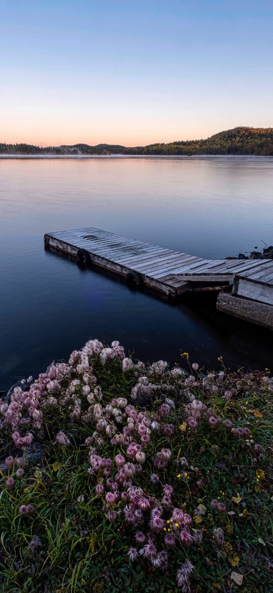 dock, lake, shore, flowers, sunset, nature