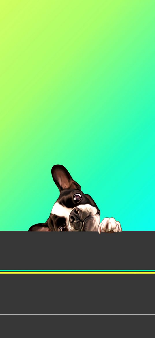 bulldog, dog, stripes, green background, pet, animal