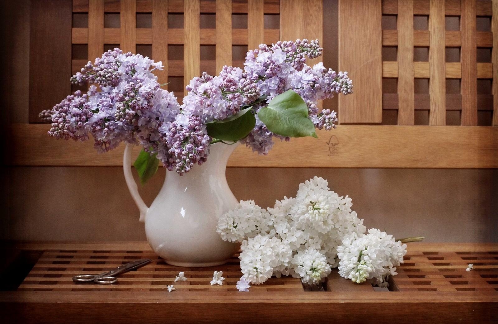 lilacs, twigs, pitcher, bench, scissors