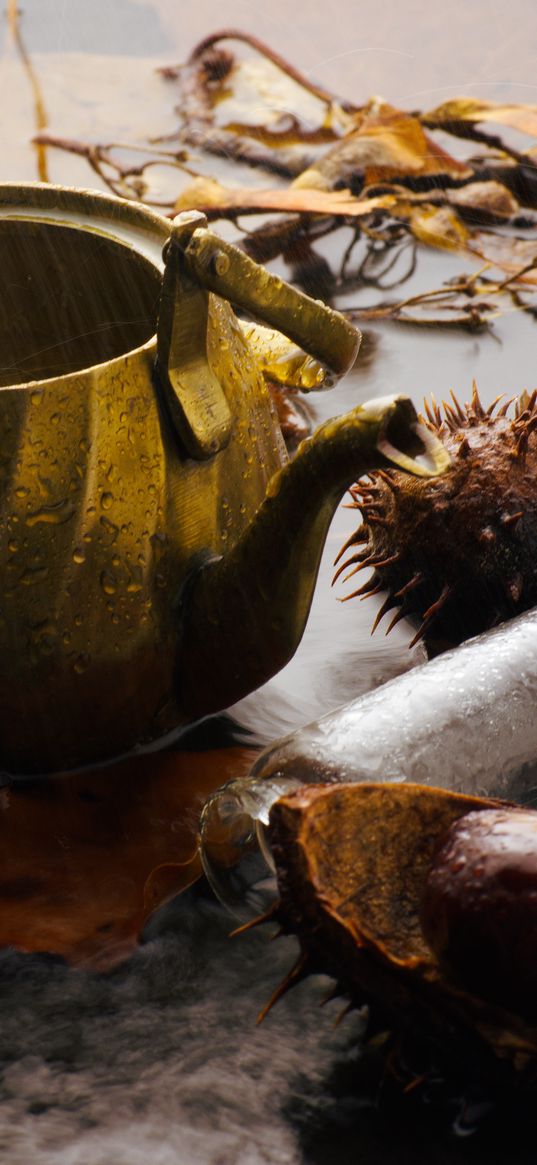 kettle, rain, chestnuts, leaves, autumn