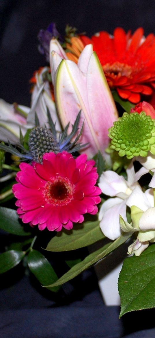 gerberas, tulips, chrysanthemums, flowers, bouquets, composition, leaves