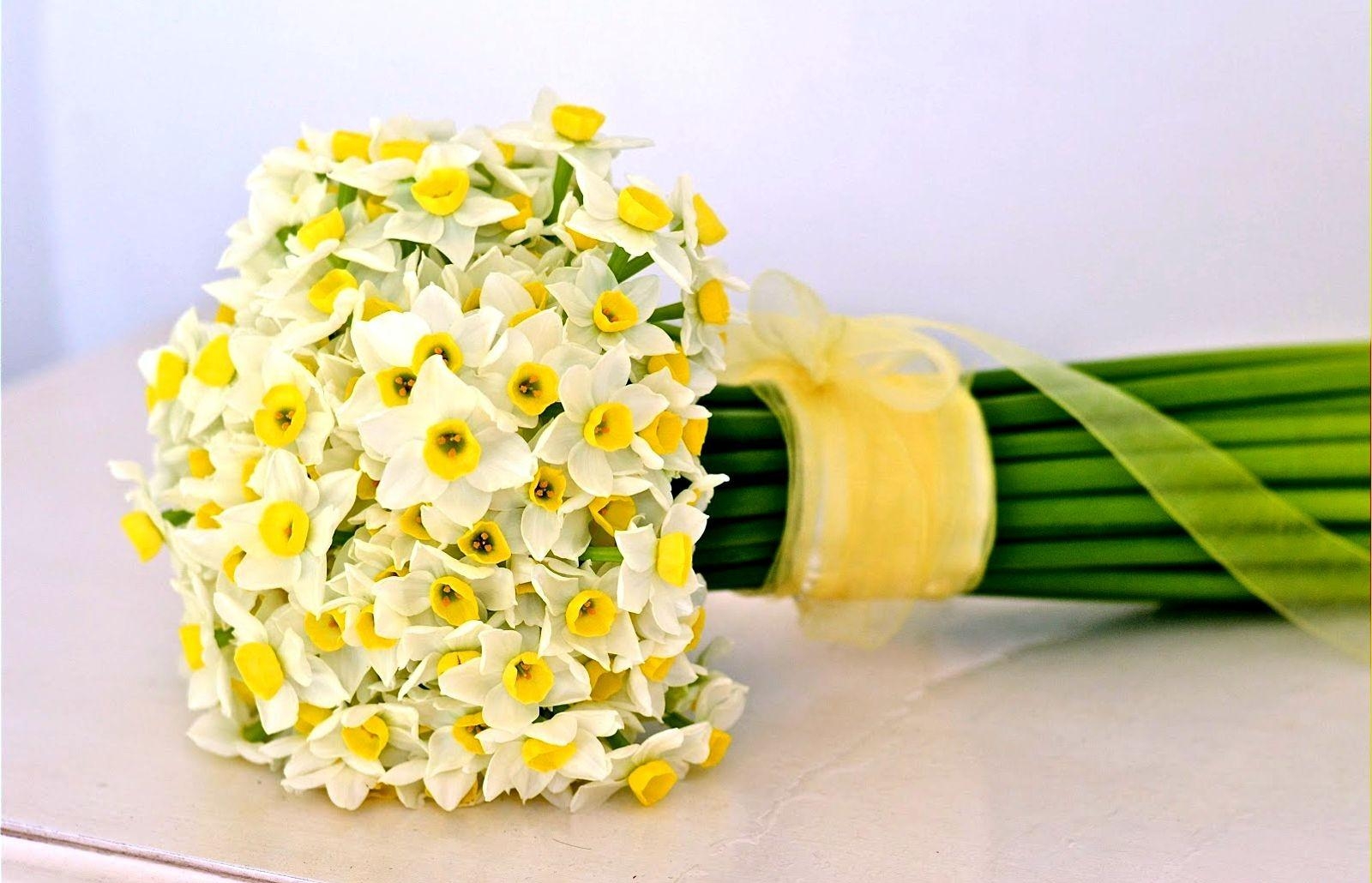 daffodils, flowers, flower, ribbon, bow