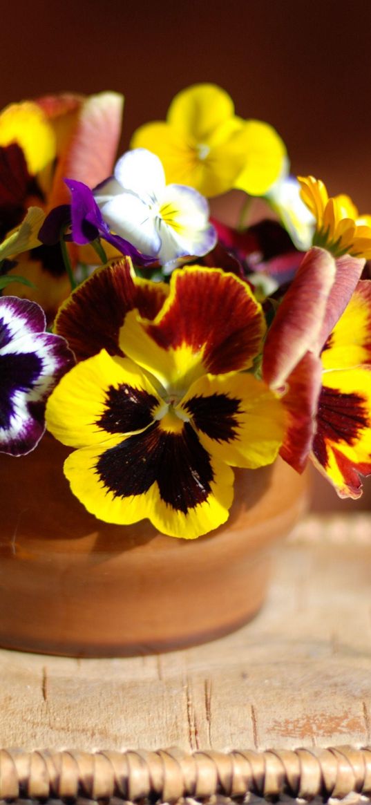 pansies, flowers, vase, stand