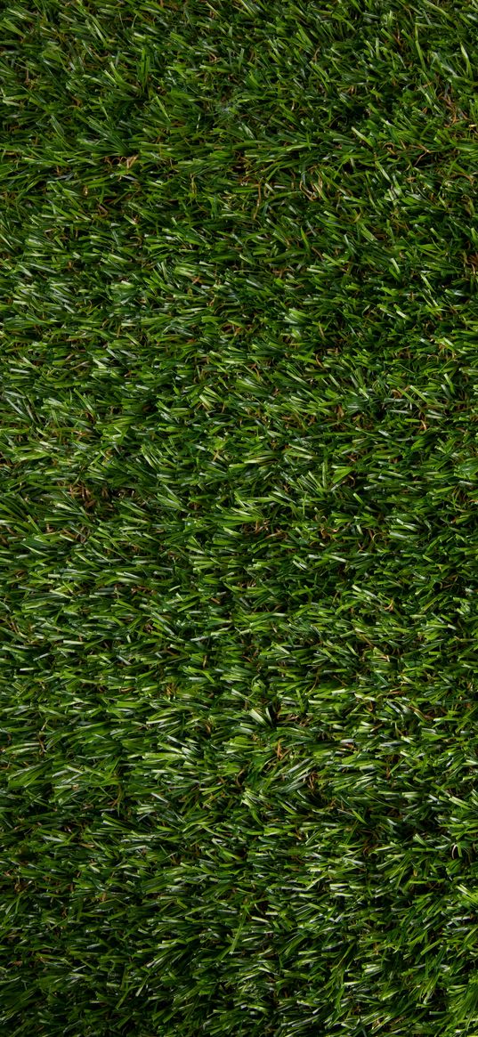 lawn, grass, texture, artificial, green