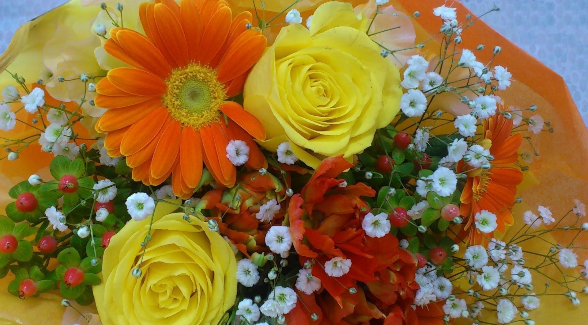 roses, gerbera, gypsophila, bouquet, decoration