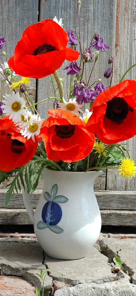 poppies, daisies, dandelions, flowers, field, flower, pitcher