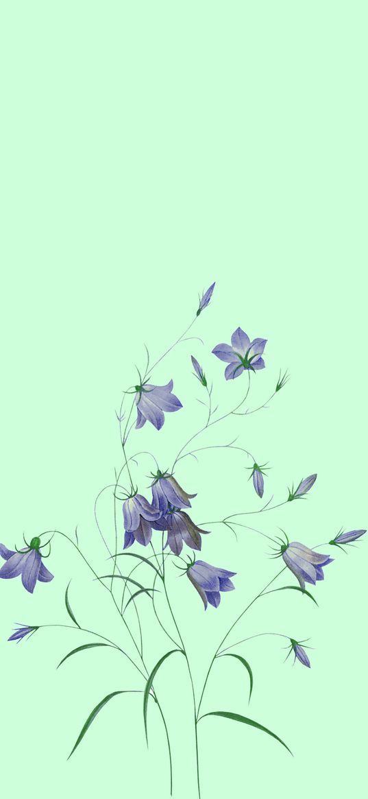 bells, flowers, turquoise background, art