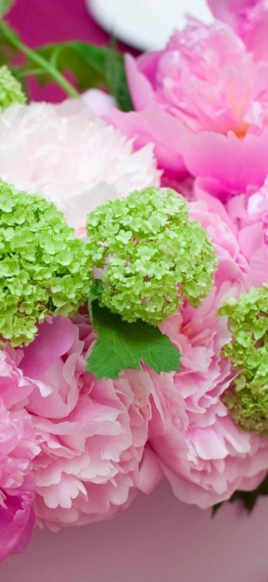 peonies, hydrangea, composition, pots