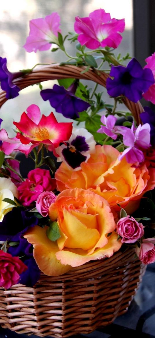 rose, petunia, pansy, flowers, composition, basket