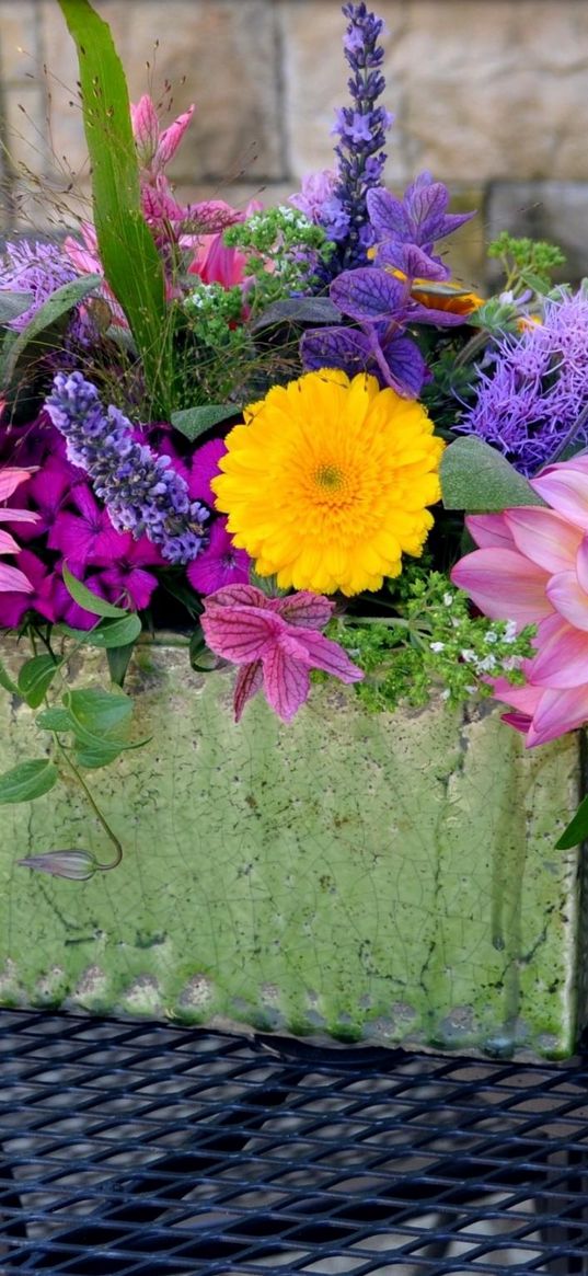 echinacea, dahlia, flower, many, different, composition, vase, table