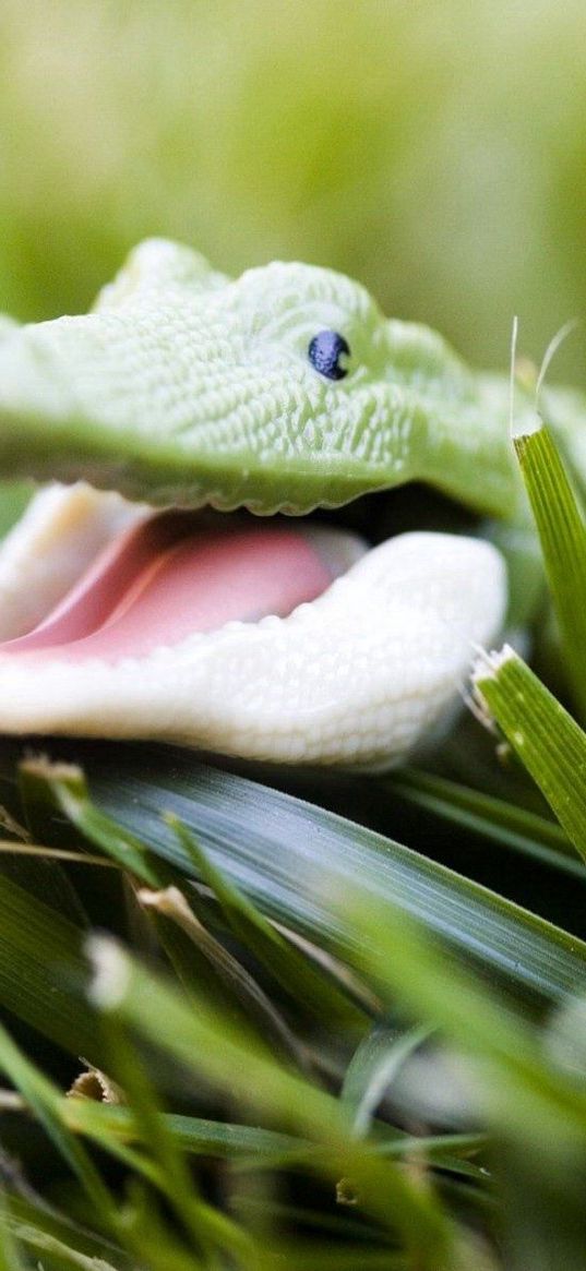 crocodile, toy, grass, face, smile