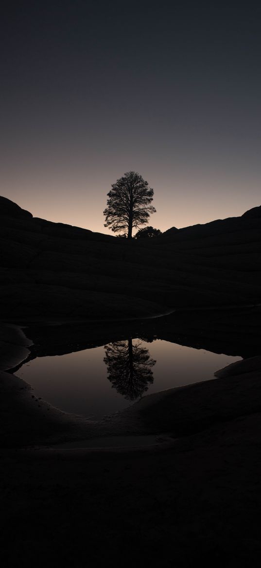 tree, hills, pond, reflection, dark